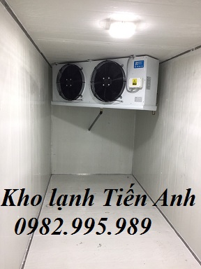 Dàn lạnh sử dụng làn dàn lạnh Kaideli , được sản xuất theo tiêu chuẩn Châu Âu, có đầy đủ CO,CQ, dàn được thiết kế bền, đẹp, tiết kiieemj điện năng