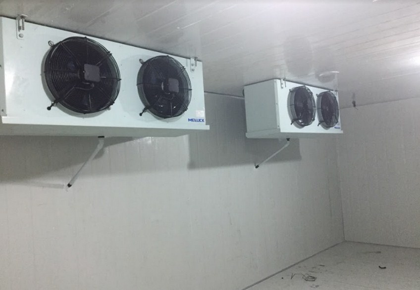 lap-dat-kho-lanh-gia-re