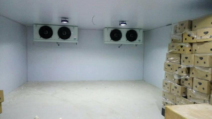 lap-kho-bao-quan-khoai-tay