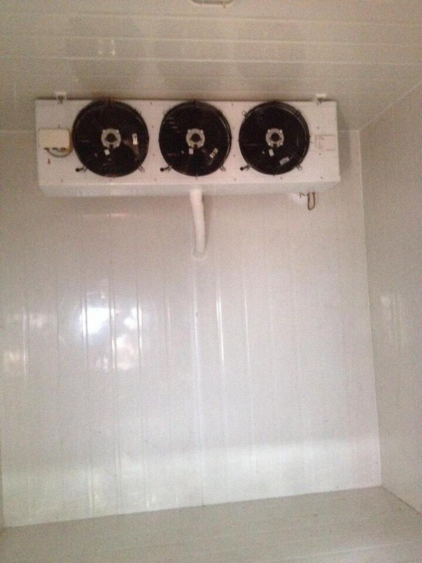 lap-kho-lanh-bao-quan-ca-bien